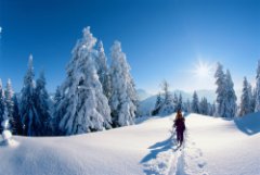 Ammergauer Alpen: Winterwandern